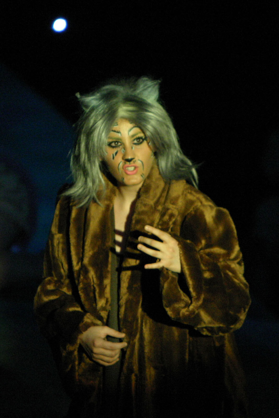 Justin-Siena Theater -- Cats3
